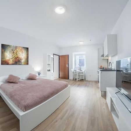 Apartment Klara Free Parking, Center PUY Exterior foto
