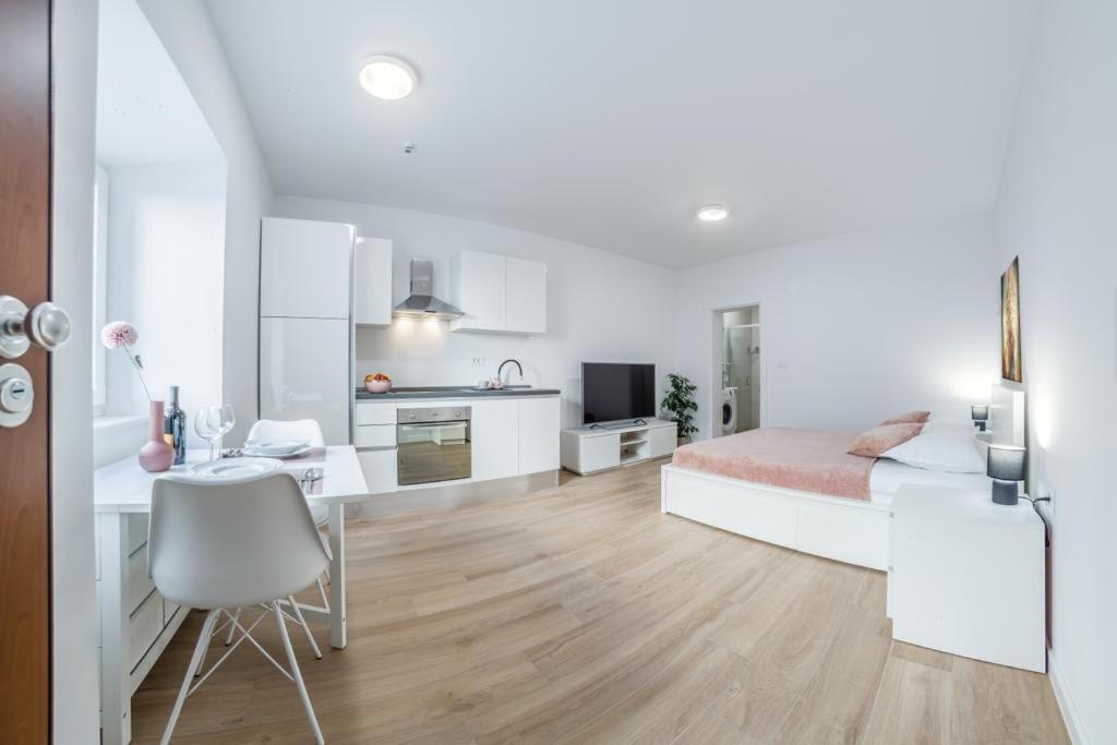 Apartment Klara Free Parking, Center PUY Exterior foto