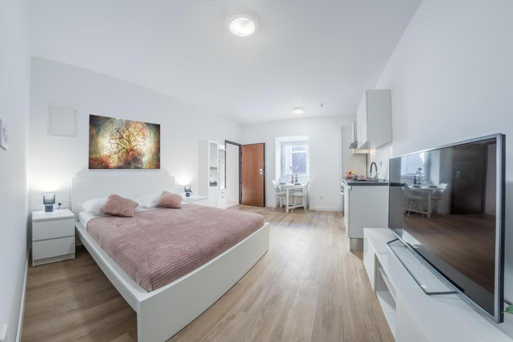 Apartment Klara Free Parking, Center PUY Exterior foto